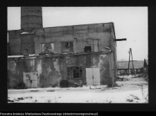 Kozowszczyzna, ruiny cegielni