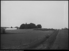 Niedźwiadna, widok na kości&oacute;ł i plebanię