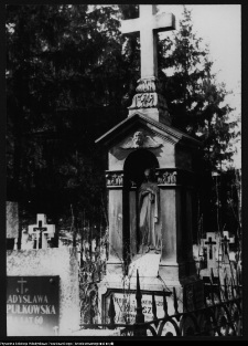 Sokoły