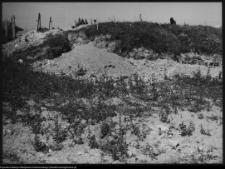 Szczuczyn, prace konserwatorskie przy pałacu