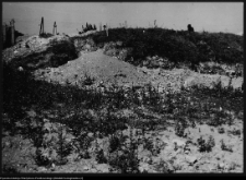 Szczuczyn, prace konserwatorskie przy pałacu