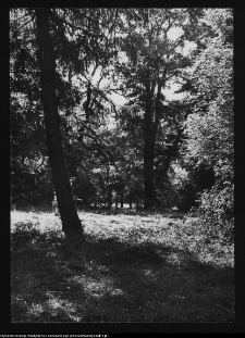 Zabłud&oacute;w, park podworski