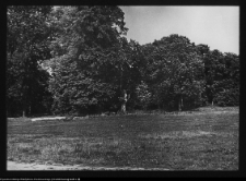 Zabłud&oacute;w, park podworski
