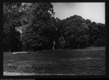 Zabłud&oacute;w, park podworski