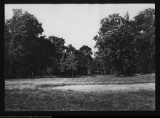Zabłud&oacute;w, park podworski