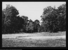 Zabłud&oacute;w, park podworski
