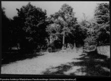 Szczyty-Dzięciołowo