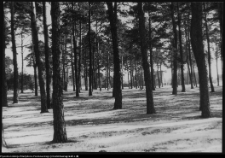 Olsztynek, Park Etnograficzny