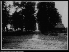 Ciechanowiec-Nowodwory, aleja wjazdowa