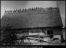 Pruska Wielka, chata wiejska nr 36