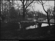 Radziejowice, zesp&oacute;ł pałacowo-parkowy