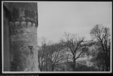 Stary Wiśnicz, zamek