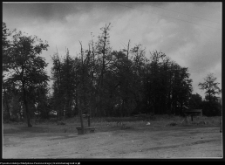 Bielsk Podlaski, park