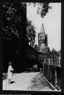 Paczk&oacute;w, mury obronne