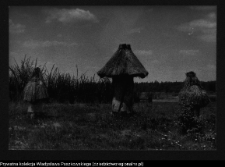 Podlasie i wschodnie Mazowsze