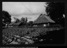 Podlasie i wschodnie Mazowsze