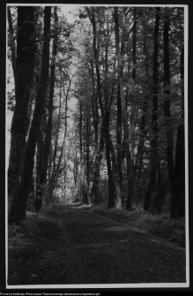 Dowspuda, pałac