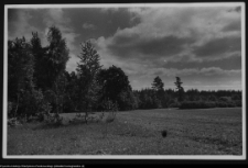 Dowspuda, pałac