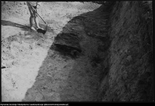 Wizna, badania archeologiczne na grodzisku