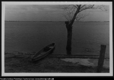 Wizna, widok na Narew