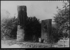Nowogr&oacute;d, skansen