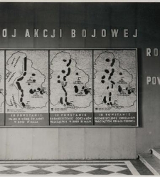 Wystawa powstań śląskich i plebiscytu : mapy akcji bojowej III Powstania