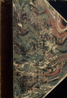 Litwa i Białoruś. Przeszłość – Teraźniejszość – Tendencje rozwojowe