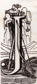 Drzeworyt - ilustracja do książki [Dokument ikonograficzny]