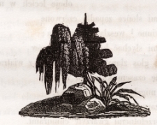 Drzeworyt - ilustracja do książki [Dokument ikonograficzny]