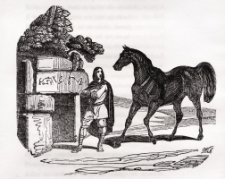 Drzeworyt - ilustracja do książki [Dokument ikonograficzny]