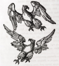 Drzeworyt - ilustracja do książki [Dokument ikonograficzny]