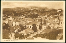 Brzeżany. Ogólny widok