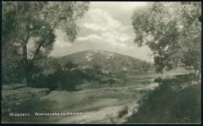 Brzeżany. Storożyska ze stawem