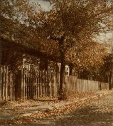 Białystok. Ulica Wiktorii [Dokument ikonograficzny]