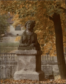 Białystok. Park pałacowy [Dokument ikonograficzny]