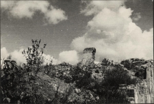 Białystok. Ruiny (róg ul. Warszawskiej i Sienkiewicza) [Dokument ikonograficzny]