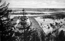 Rokitno &ndash; Drahthindernisse im Sumpf. [Dokument ikonograficzny]