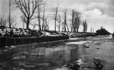 Rokitno &ndash; Kanal [Dokument ikonograficzny]