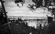 Rokitno &ndash; Kanalgegend von Hochstand aus [Dokument ikonograficzny]