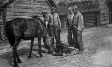 Rokitno &ndash; Sreudiges Ereignis [Dokument ikonograficzny]