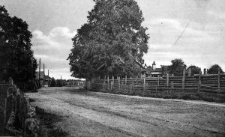 Rokitno &ndash; Strasse im T [Dokument ikonograficzny]