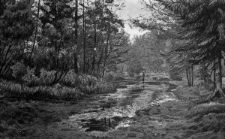 Rokitno &ndash; Weg zwischen Kletno und Kolonsk [Dokument ikonograficzny]