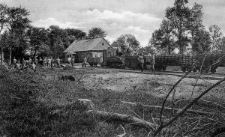 Rokitno &ndash; Feldbahnhof in K [Dokument ikonograficzny]