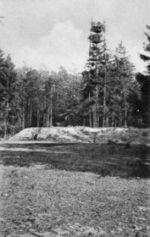 Rokitno &ndash; Hochstand bei S [Dokument ikonograficzny]