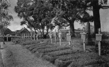 Rokitno – Swataja Wolja (Friedhof) [Dokument ikonograficzny]