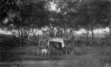 Rokitno &ndash; Nowiki (Nach der F&uuml;tterung) [Dokument ikonograficzny]