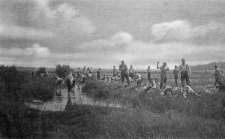 Rokitno &ndash; Nowiki (Beim Krebsen) [Dokument ikonograficzny]