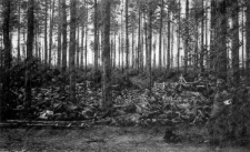 Rokitno &ndash; Vor der Beisetsung gefallener Russen [Dokument ikonograficzny]