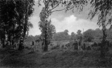 Rokitno – Stolowitschi (Jugenfriedhof) [Dokument ikonograficzny]