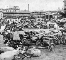 WHEAT FOR EXPORT IN A BUSY COMMERCIAL CORNER OF ODESSA. Ilustracja do książki. [Dokument ikonograficzny]